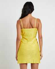 Sofia Sequin Mini Dress