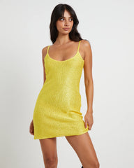 Sofia Sequin Mini Dress